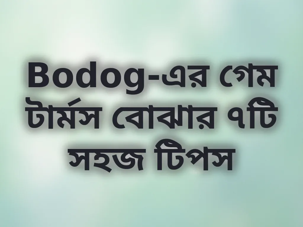 টার্মস অ্যান্ড কন্ডিশন গাইড